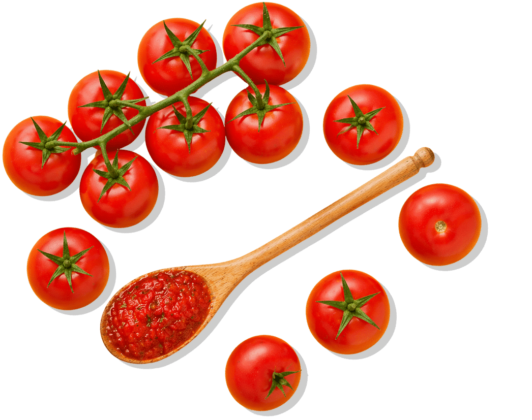 Tomates Frescos